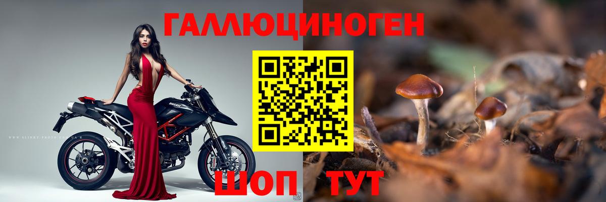 Псилоцибиновые грибы ЛСД Вязьма